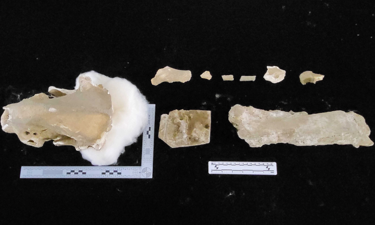 Photo: Shaanxi Daily Photo: Shaanxi Daily