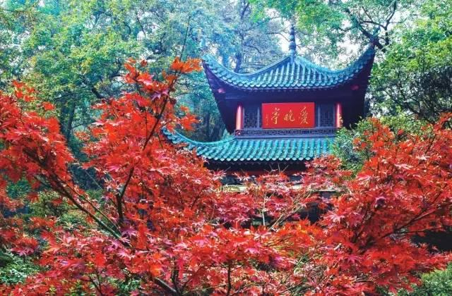 方克立:儒学给人智慧 方克立:儒学给人智慧