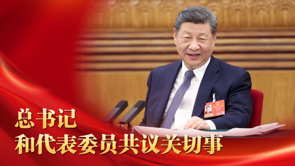 微视频｜总书记和代表委员共议关切事